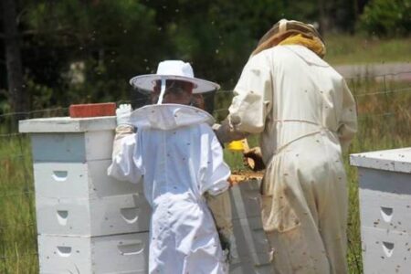 A Pioneering Spirit and Other Values For a Successful Homestead Image